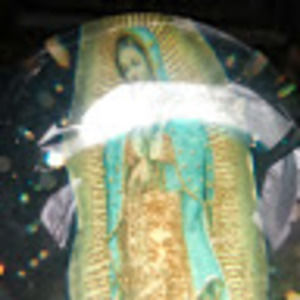 Meet your Posher, Ermenegildo